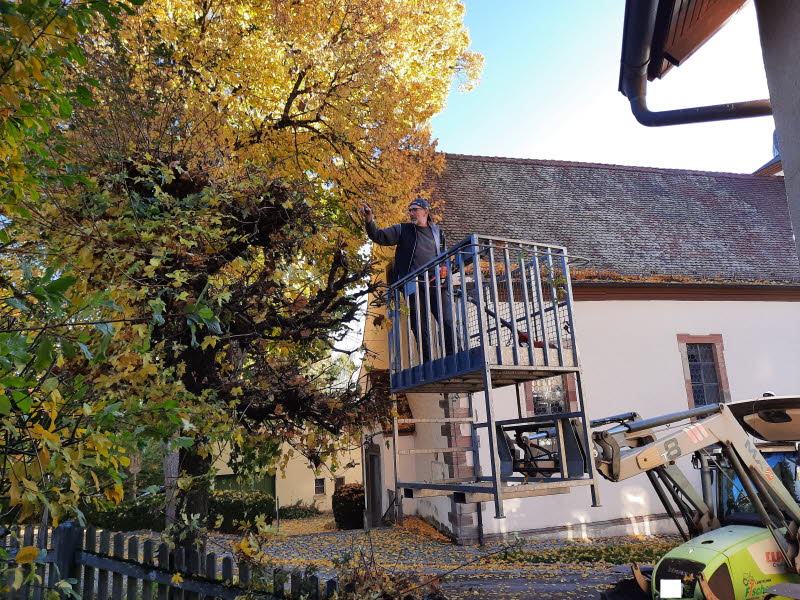 Dorfpflege 2025 (102)