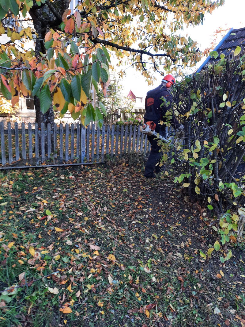 Dorfpflege 2025 (103)