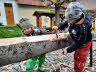 Kermes 2025 (146)