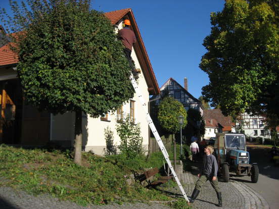 Ortspflege_2010 (20)