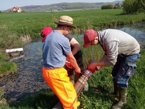 Reinigung Klranlage 2018 (49)