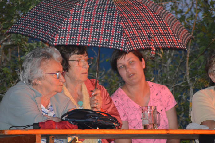 Sonnenwendfeuer 2019 (71)